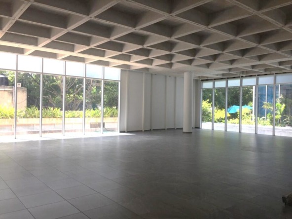 oficina en venta en cancún centro - local comercial amplio con piso de loseta gris, techos altos y ventanales de cristal que dan a una jardinera