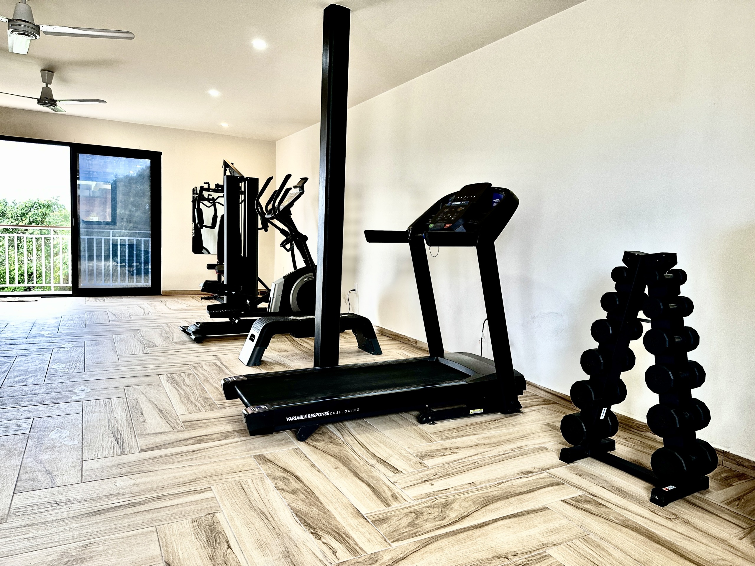 Gimnasio