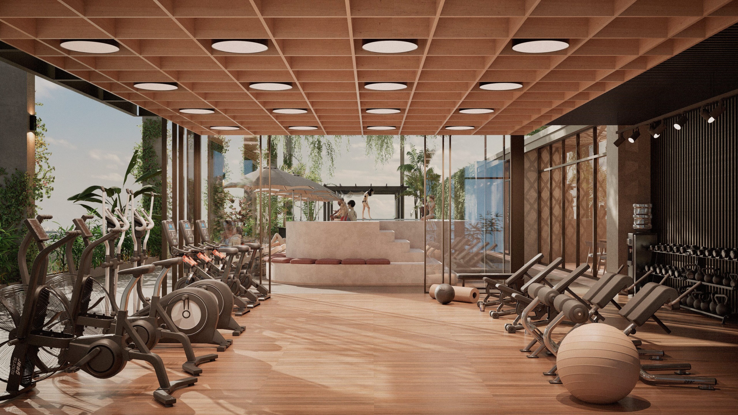 Gimnasio 2