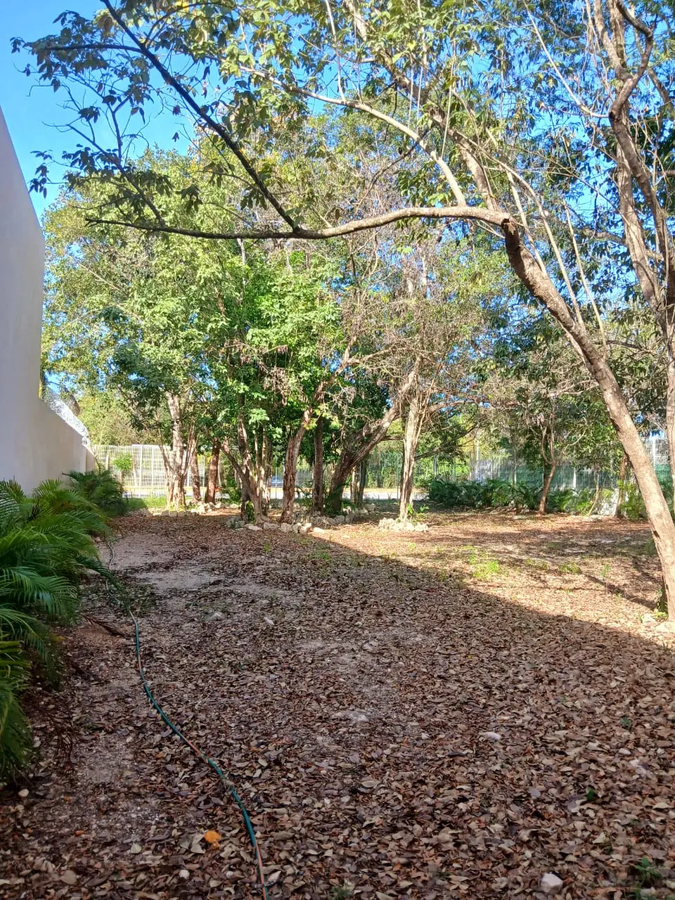 Terreno en venta en Playa del Carmen 10