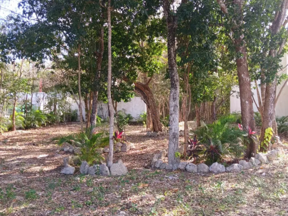 Terreno en venta en Playa del Carmen 5