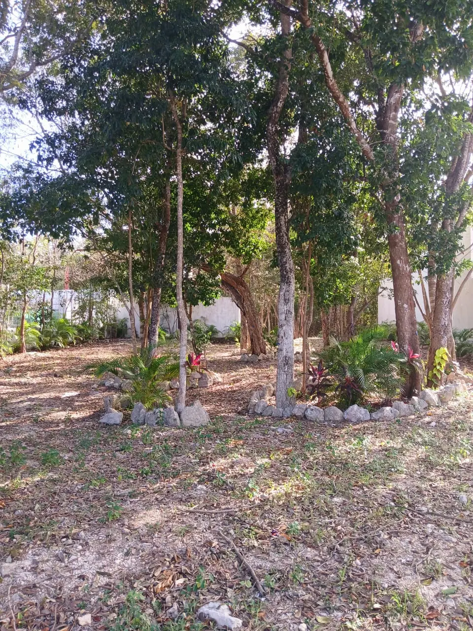 Terreno en venta en Playa del Carmen 5