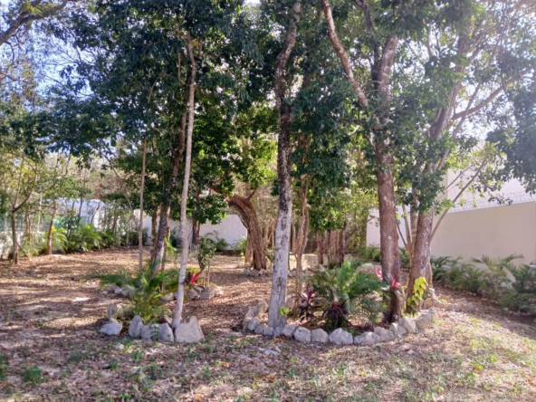 Terreno en venta en Playa del Carmen 8