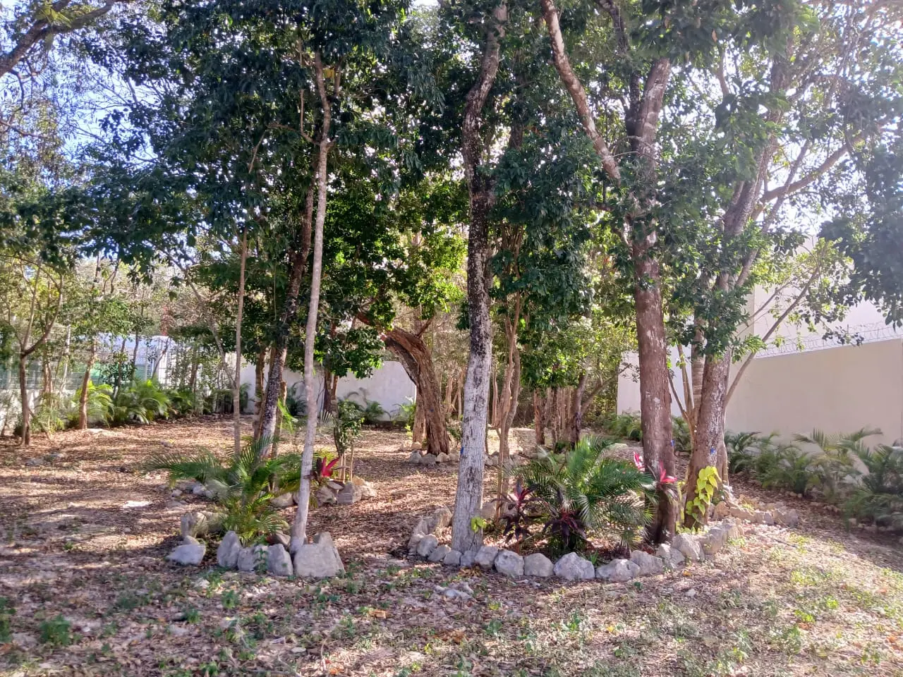 Terreno en venta en Playa del Carmen 8