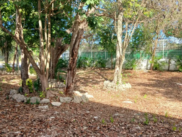 Terreno en venta en Playa del Carmen 9