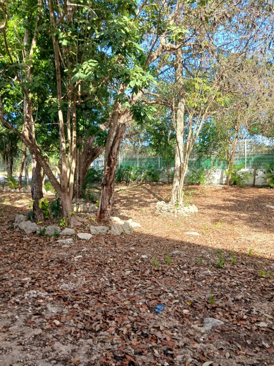 Terreno en venta en Playa del Carmen 9