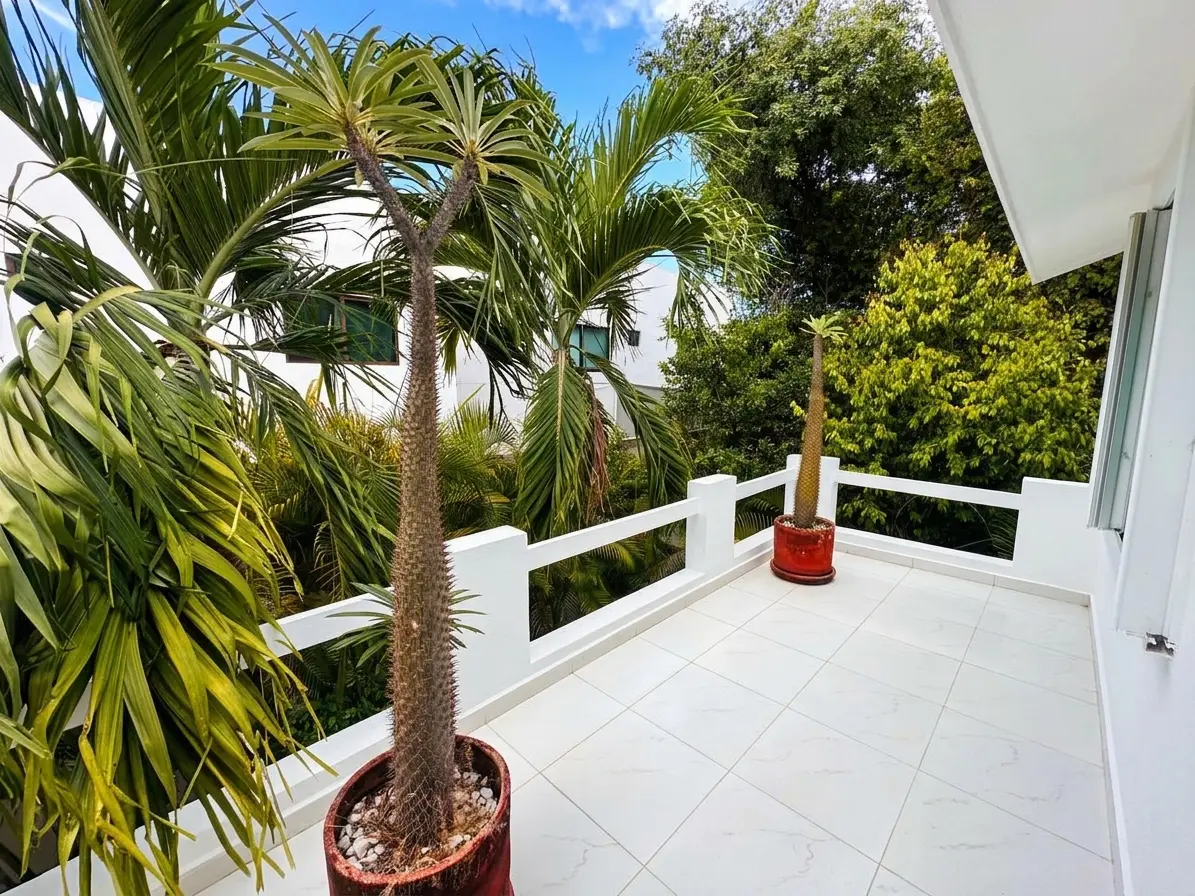 10 terraza Sm 12 CR99