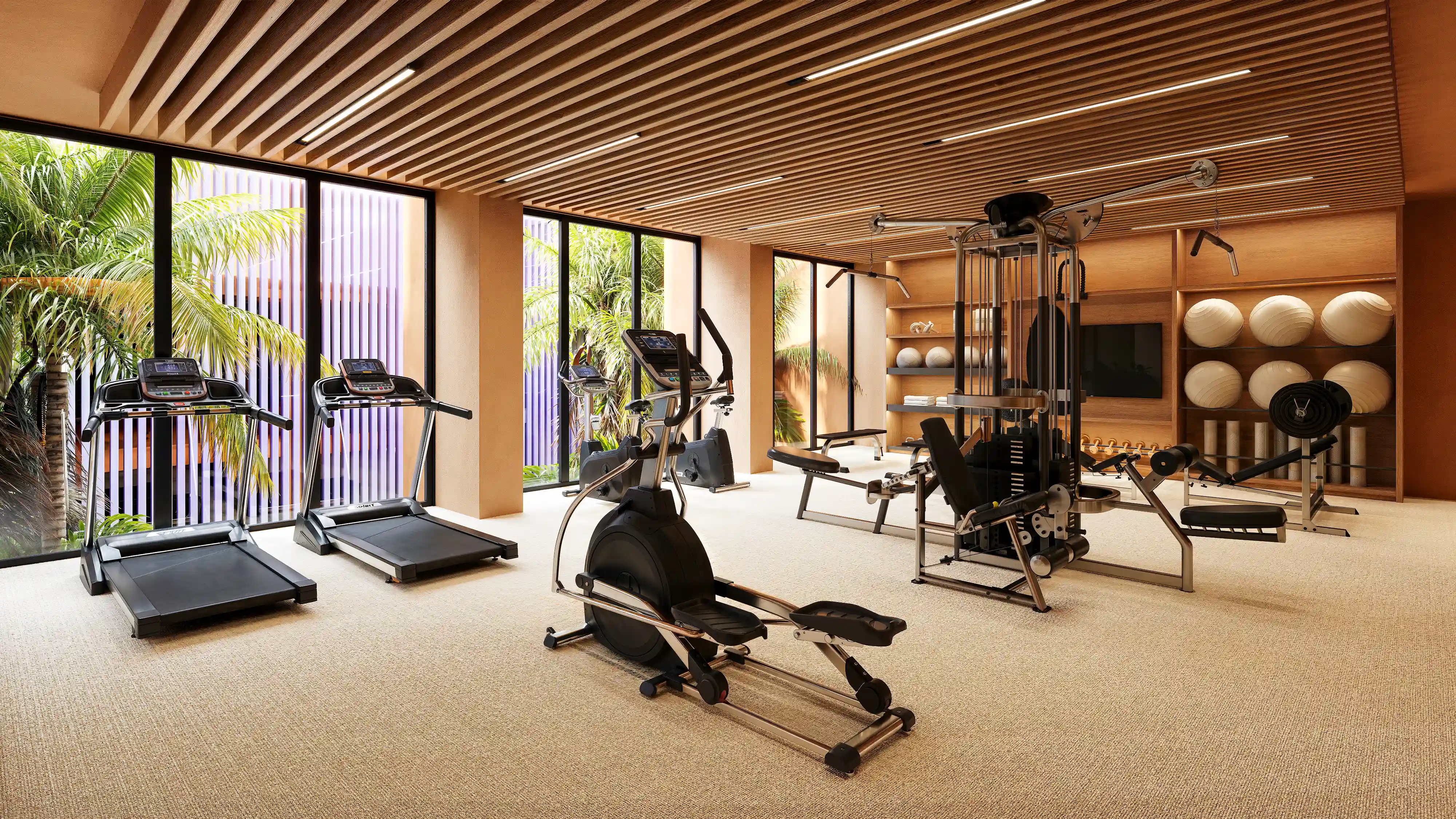 MISTRAL GIMNASIO FOTO 9
