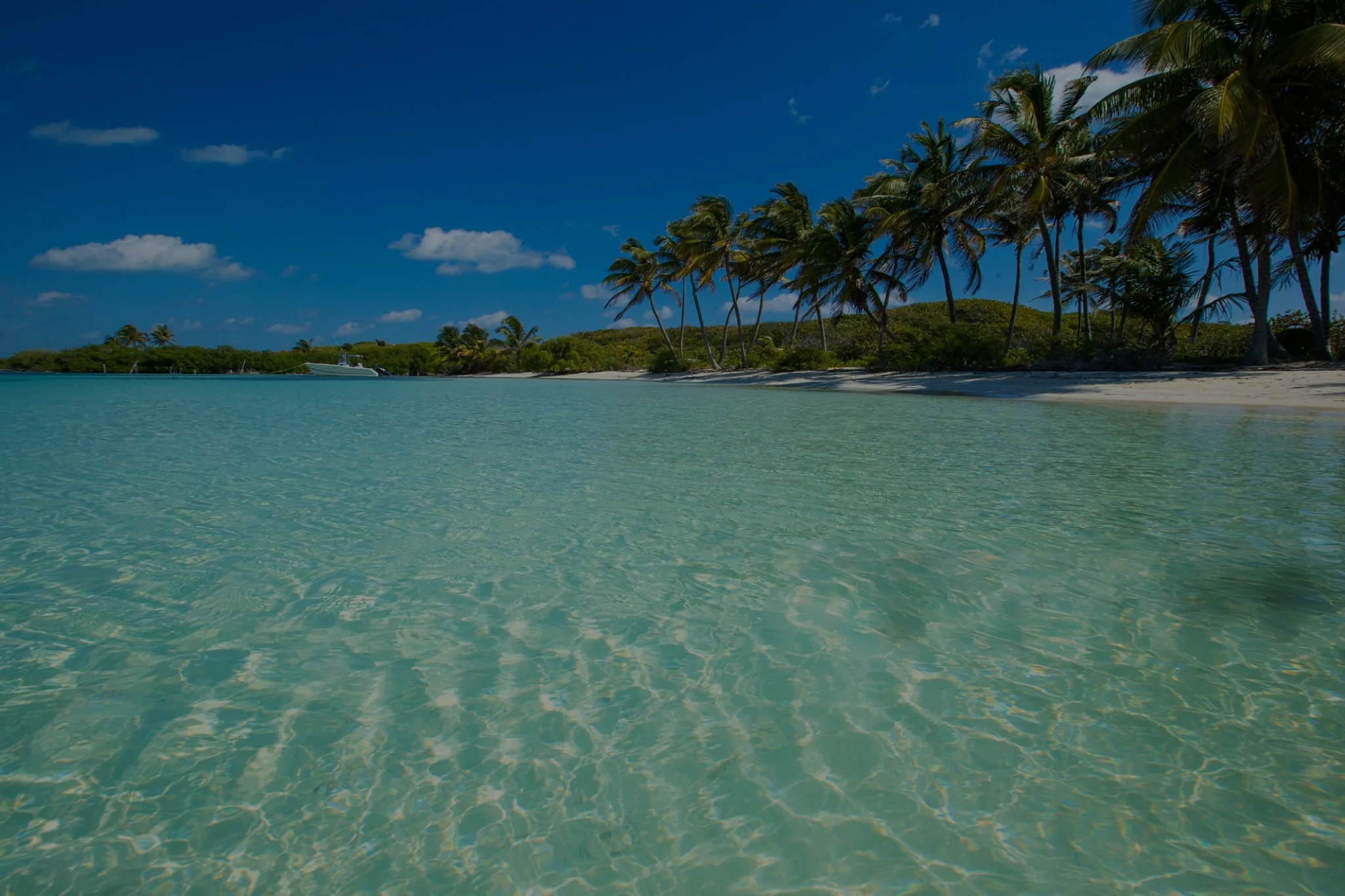 playa-costa-mujeres