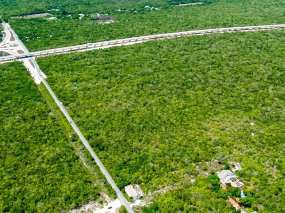 1-Terreno-Ruta-de-los-Cenotes-2hectareas