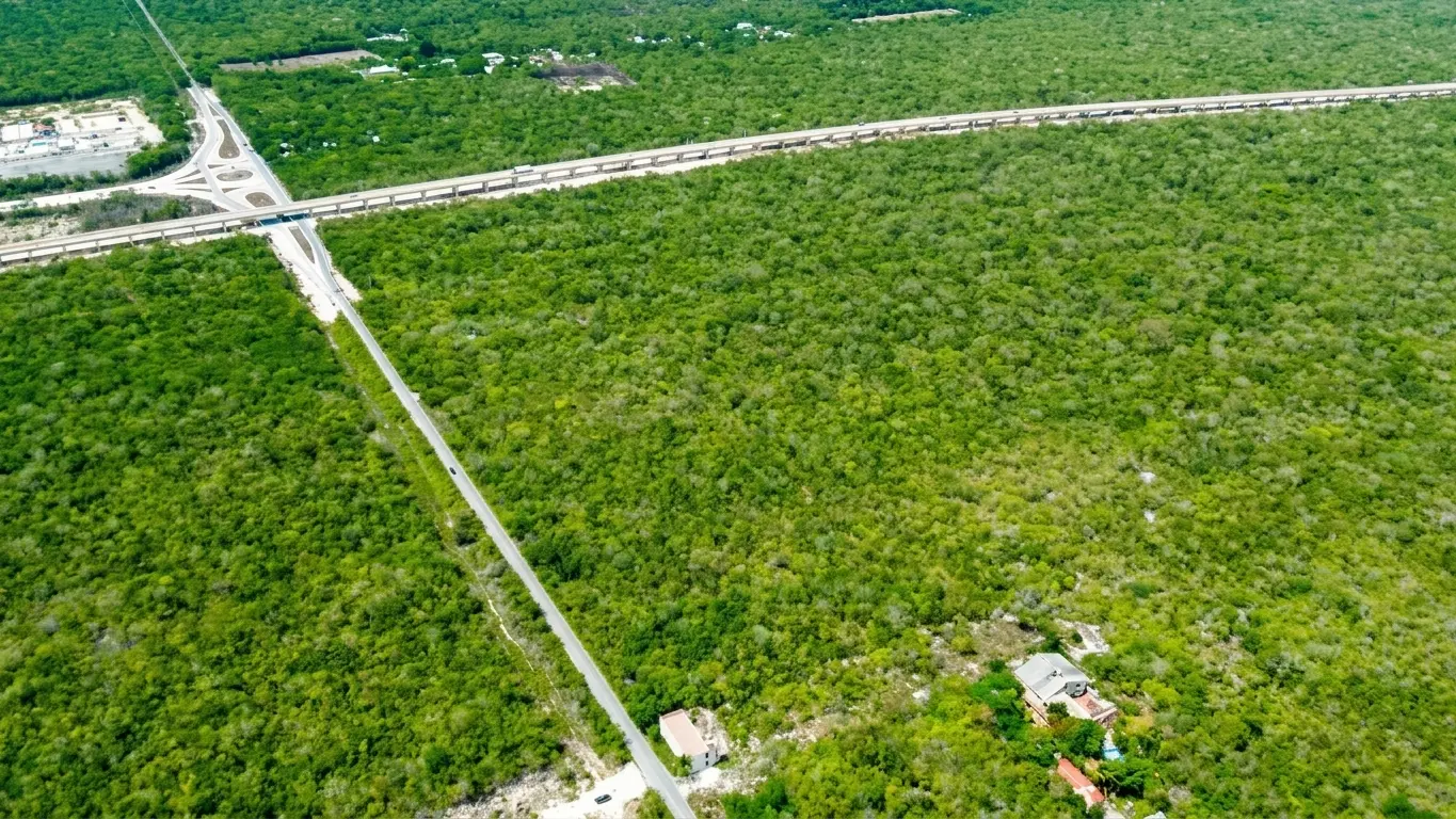 1-Terreno-Ruta-de-los-Cenotes-2hectareas