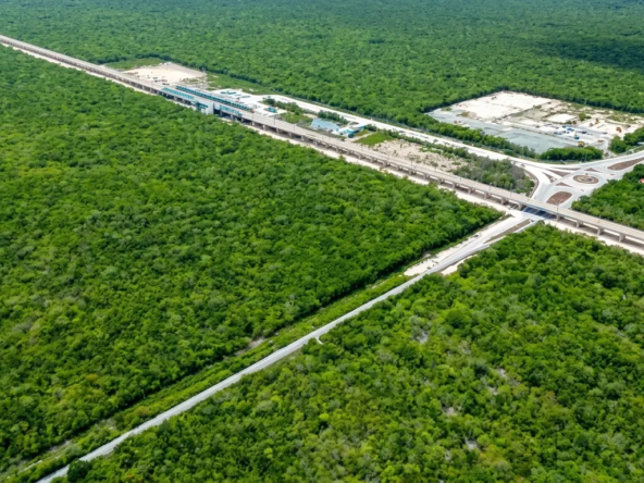 2-Terreno-Ruta-de-los-Cenotes-Tren-Maya