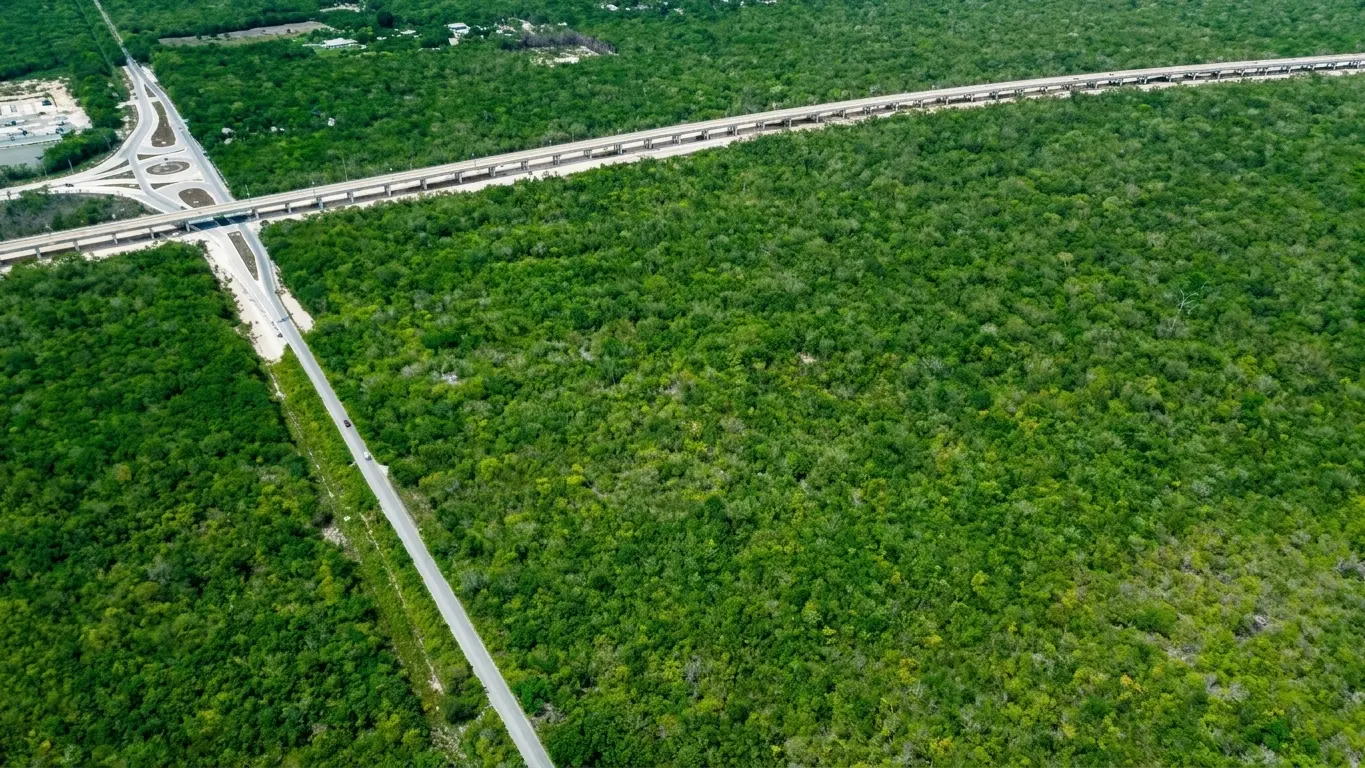 3-Terreno-Ruta-de-los-Cenotes-Tren-Maya-otra-vista