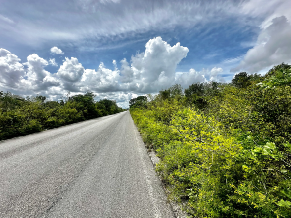 4-Terreno-Ruta-de-los-Cenotes-Tren-Maya-carretera