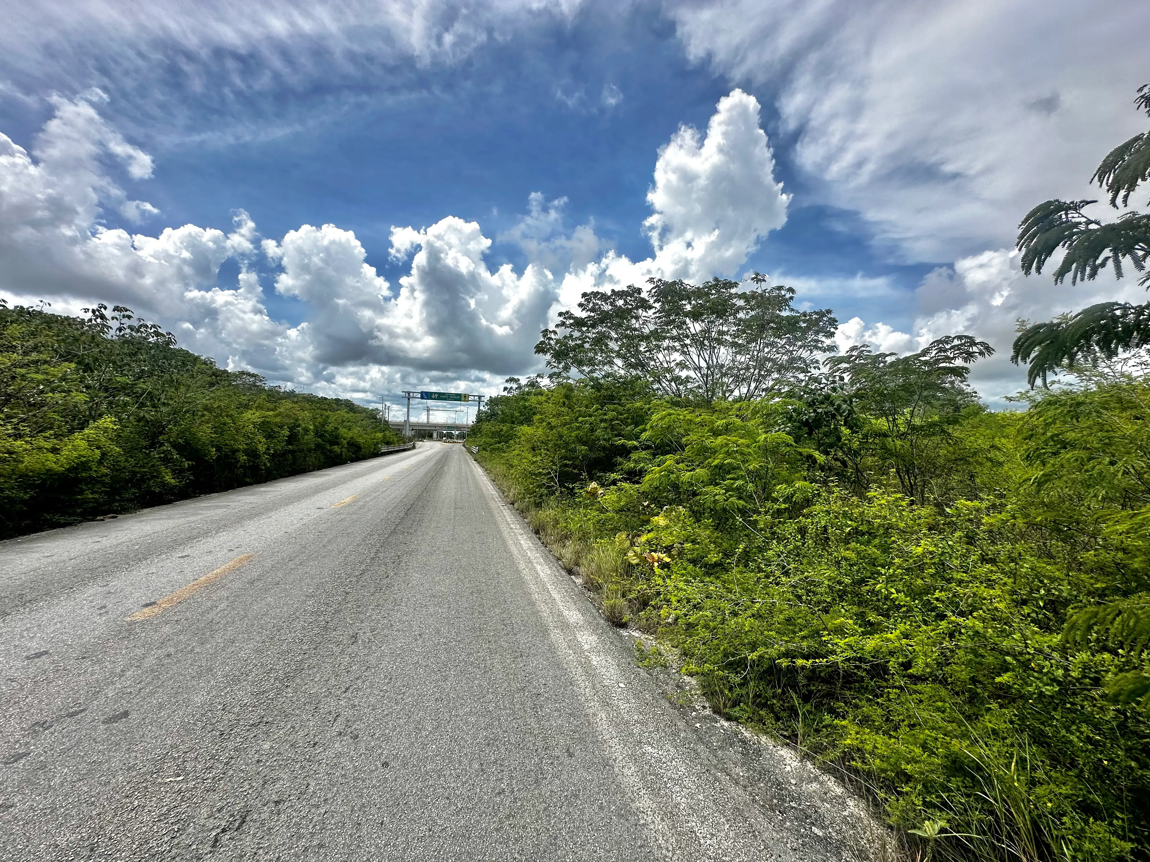 6-Terreno-Ruta-de-los-Cenotes-carretera